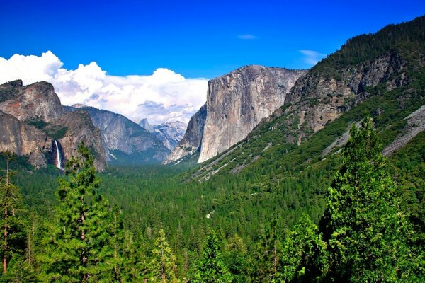 Beau paysage de montagne et herbe verte