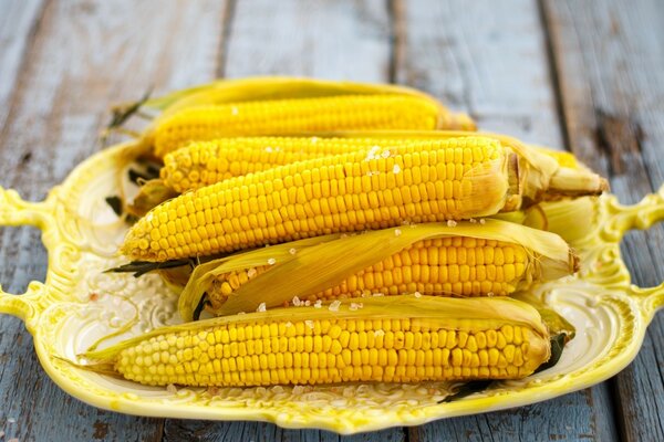 Maíz, palomitas de maíz, mazorcas hervidas