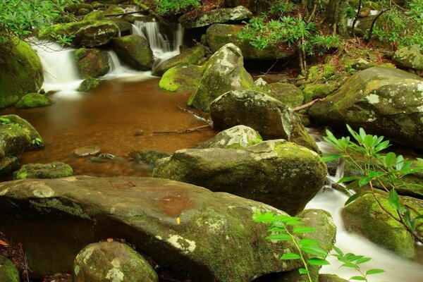 Old stones with moss near the pond