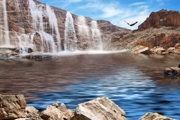 Several waterfalls and a flying bird