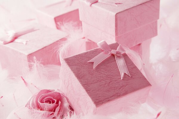 A gentle gift to your beloved in a soft pink shade