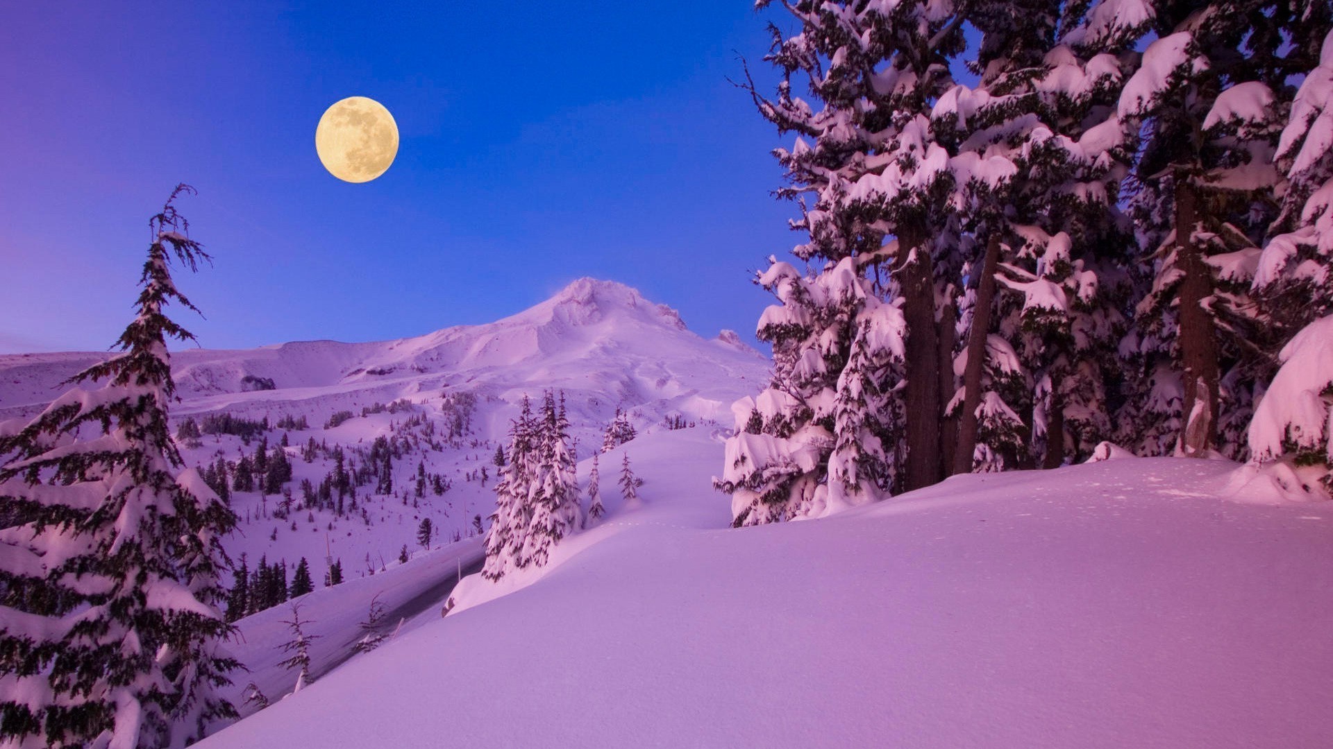 inverno neve scenico freddo legno montagna albero paesaggio gelo all aperto stagione