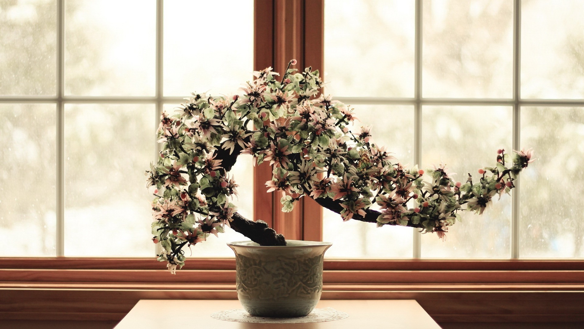 fleurs dans les arbres fenêtre pot fleur intérieur maison plante d intérieur vase flore pot meubles jardin décoration patio design d intérieur chambre famille feuille verre planteur