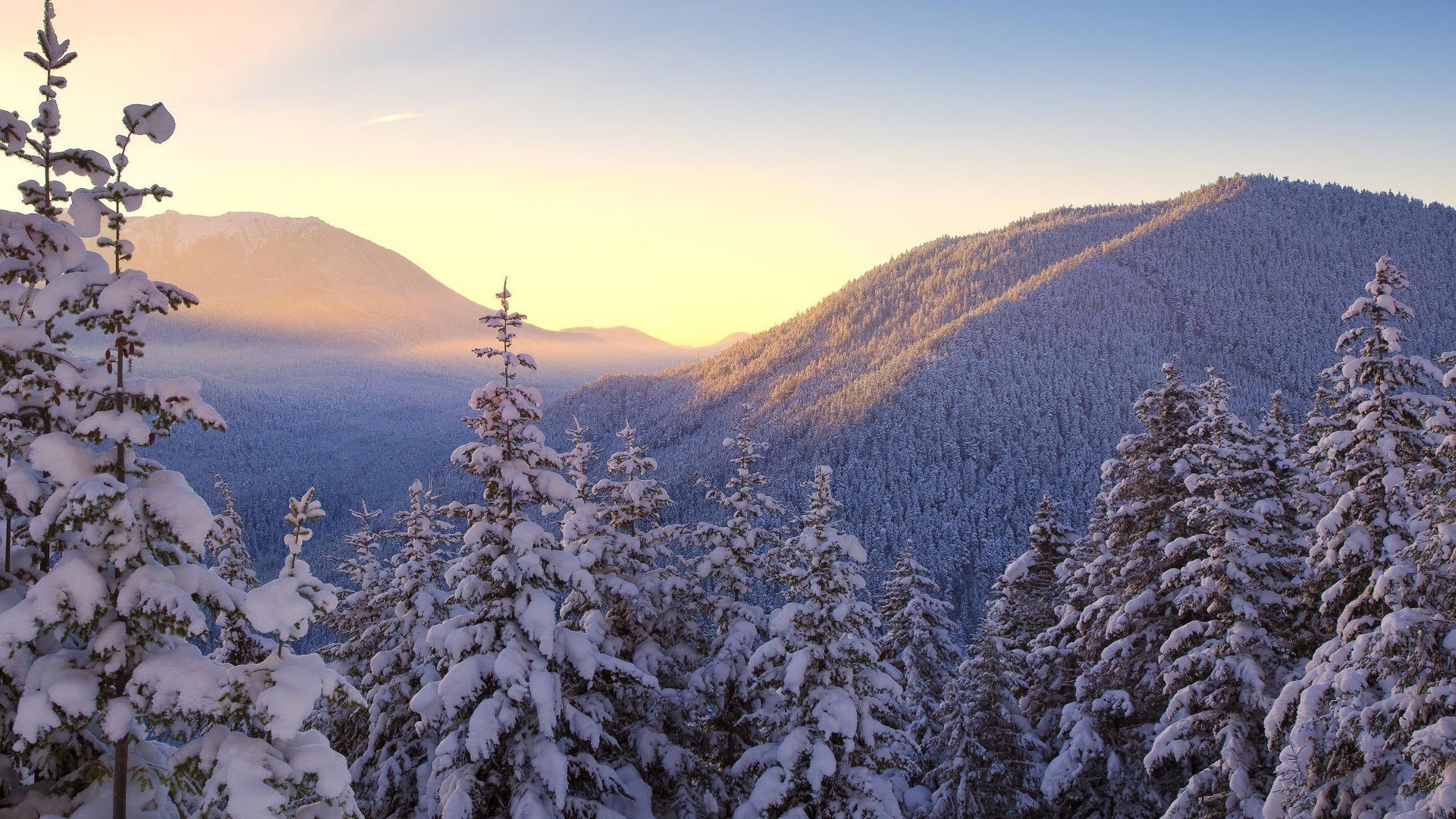 winter snow mountain landscape wood cold tree scenic evergreen nature hill sky travel ice outdoors conifer mountain peak