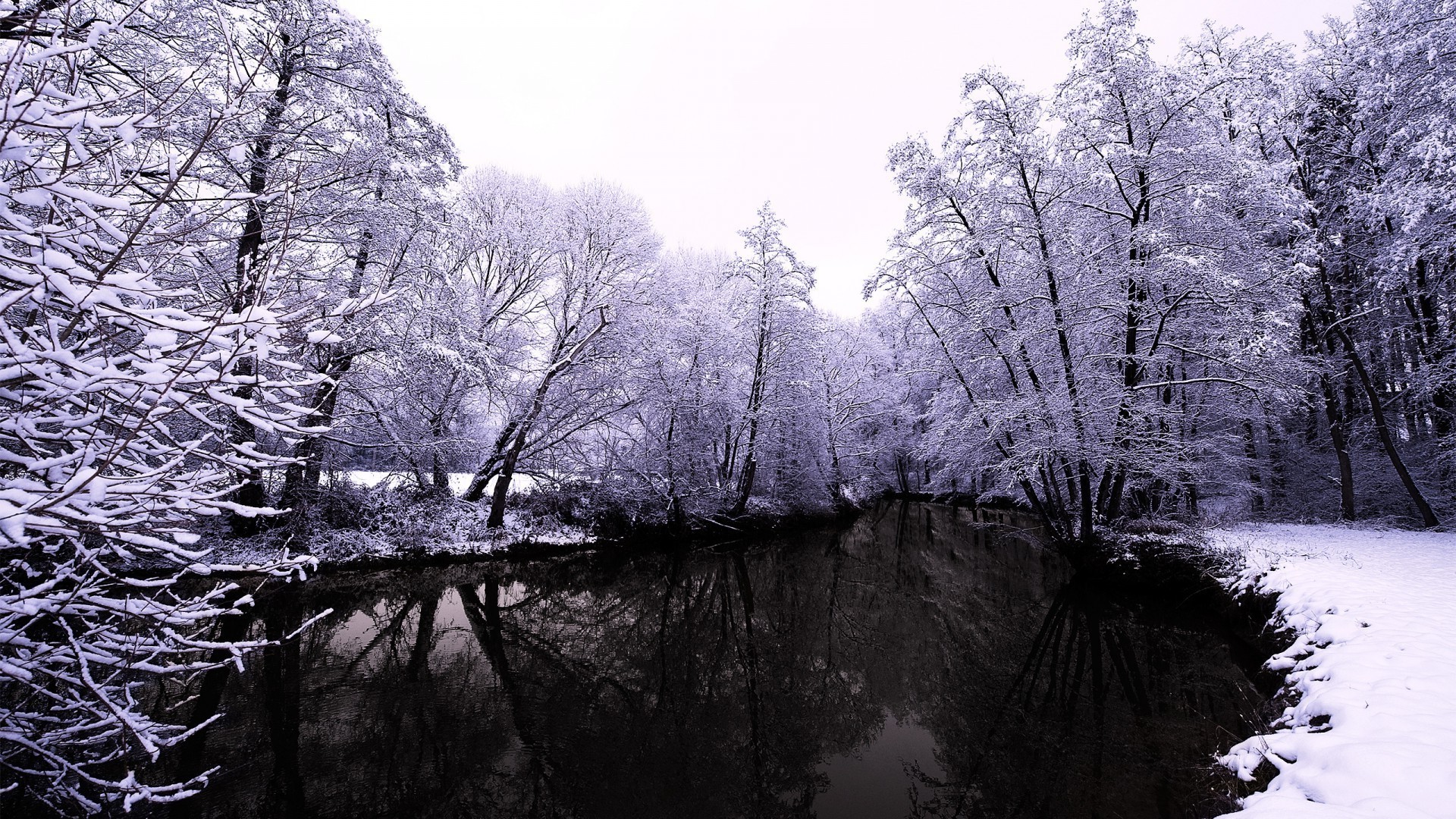 rzeki stawy i strumienie stawy i strumienie drzewo zima drewno śnieg krajobraz zimno natura mróz park sceniczny sezon lód oddział mgła krajobrazy na zewnątrz mrożone