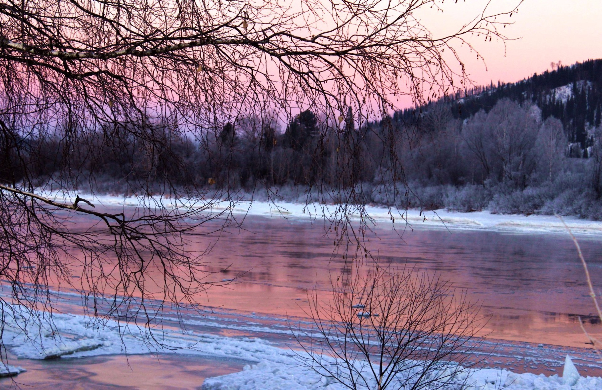 tramonto e alba inverno neve legno freddo natura albero paesaggio gelo acqua ghiaccio alba stagione congelato riflessione all aperto tempo lago autunno fiume