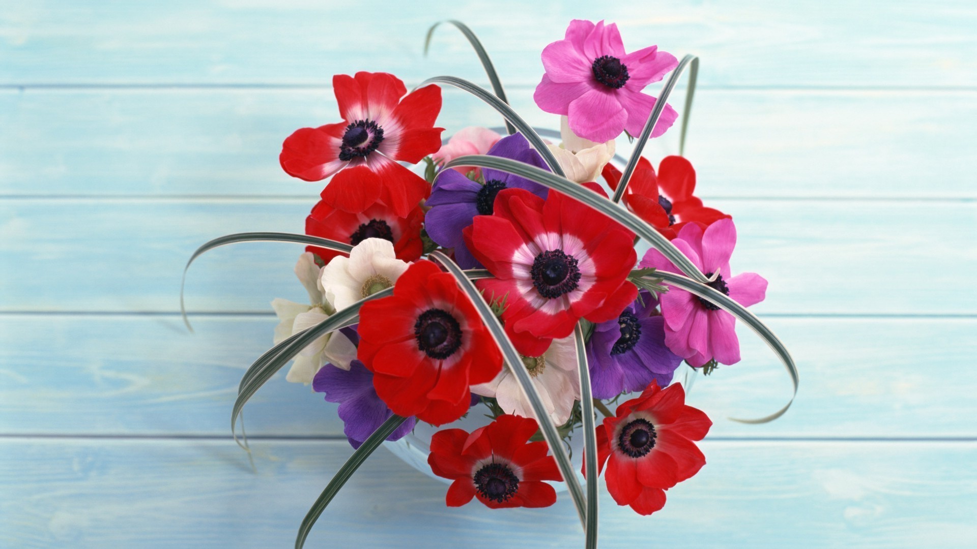 flowers flower nature summer flora color season bright blooming floral beautiful petal garden close-up decoration field leaf husk