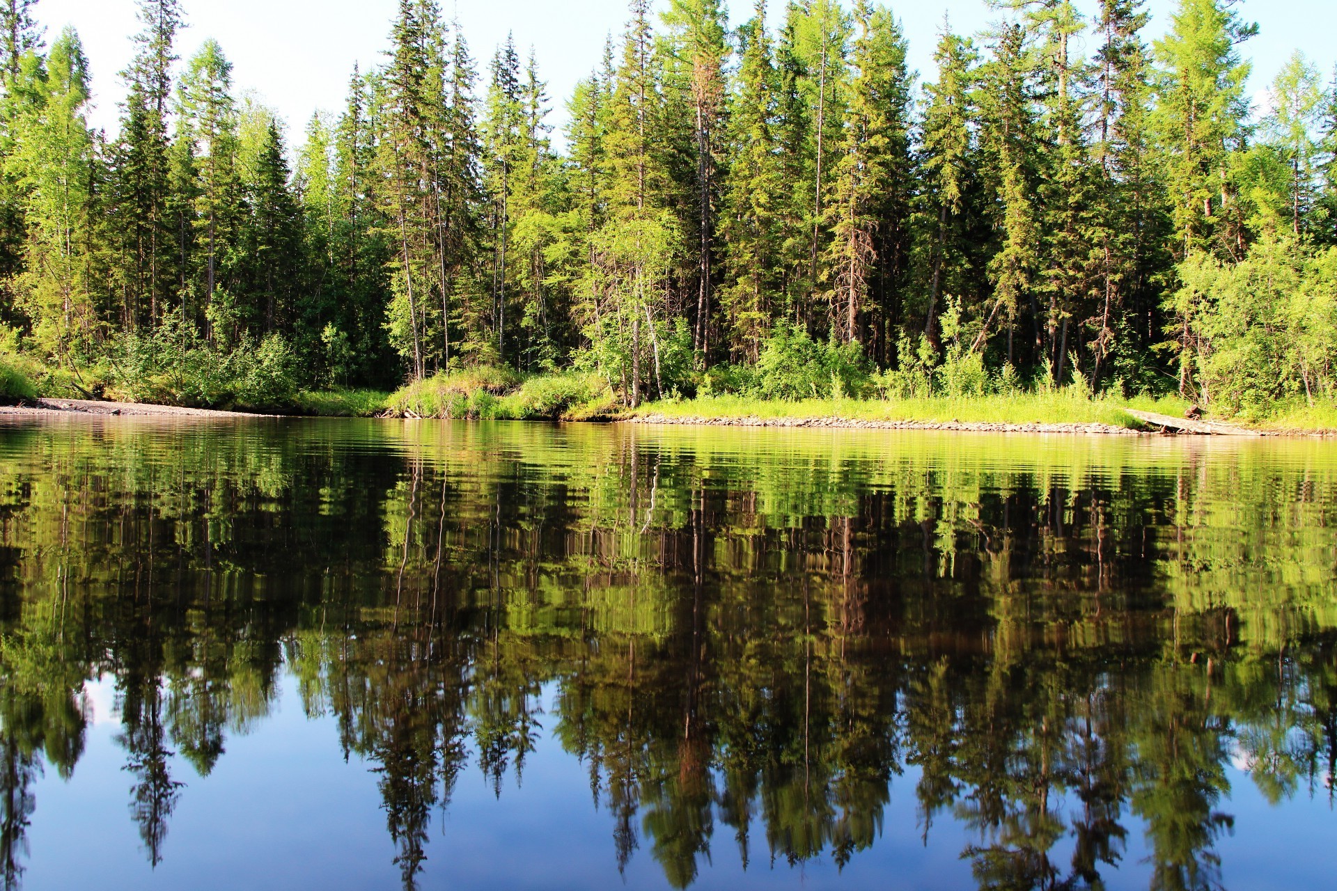 see holz natur wasser im freien baum landschaft landschaftlich reflexion sommer wild fluss himmel gutes wetter tageslicht park gelassenheit herbst blatt