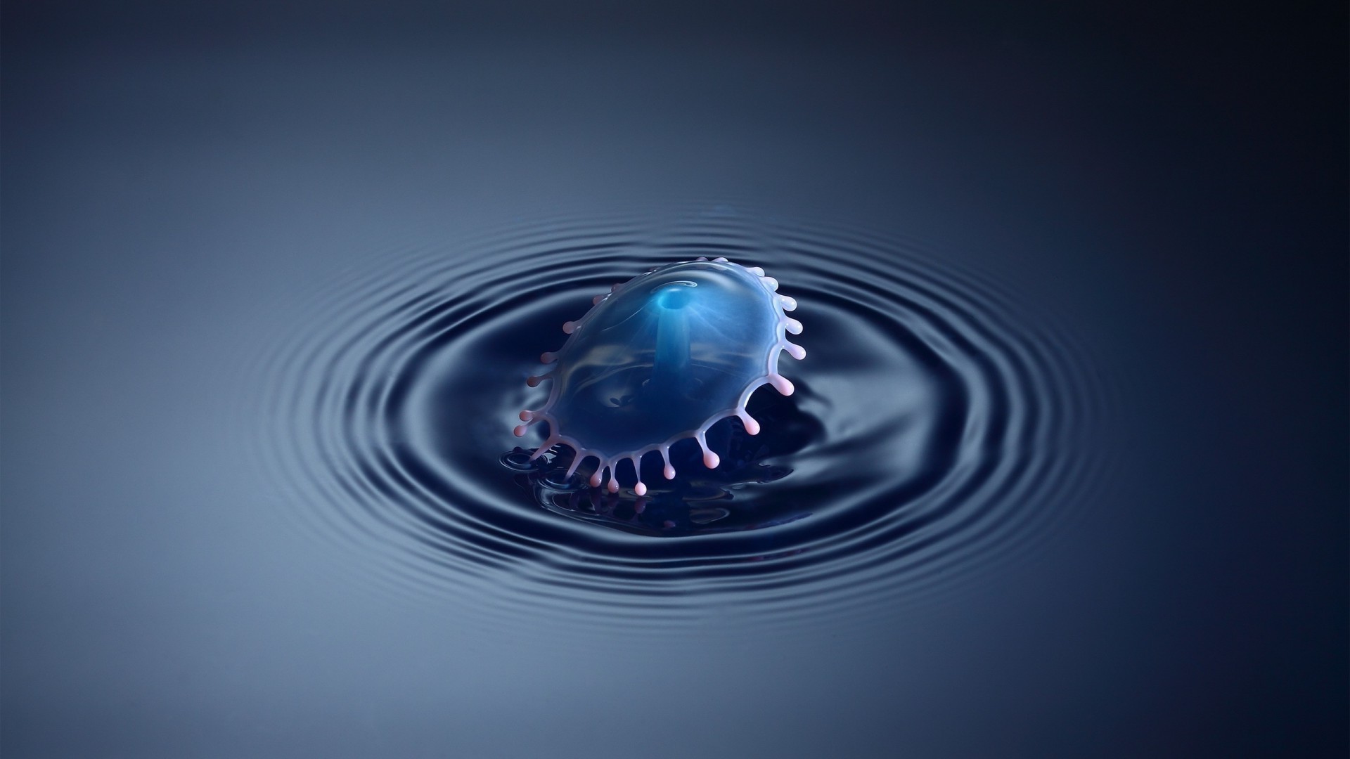 abstracción reflexión agua lluvia ronda gota líquido gotas naturaleza onda pureza movimiento ondulación burbuja splash mojado escritorio océano planeta luna