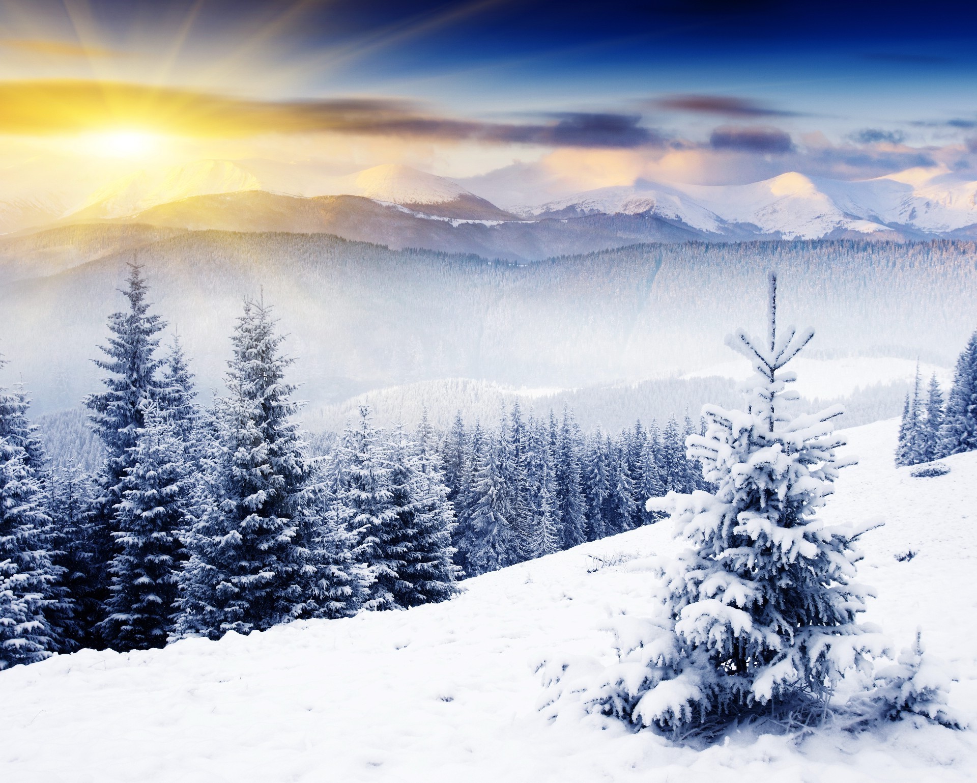 winter schnee kälte berg holz landschaft frost gefroren tanne saison eis baum verschneit fichte kiefer pulver landschaftlich weihnachten hügel alpine