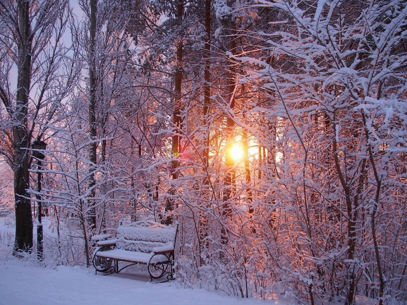 Тишина падающего снега. Снежная зима. Зимний лес солнце. Солнечный зимний день. Красивые зимние фотографии.