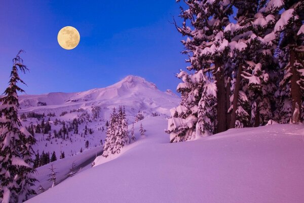 Heller großer Mond im Winter