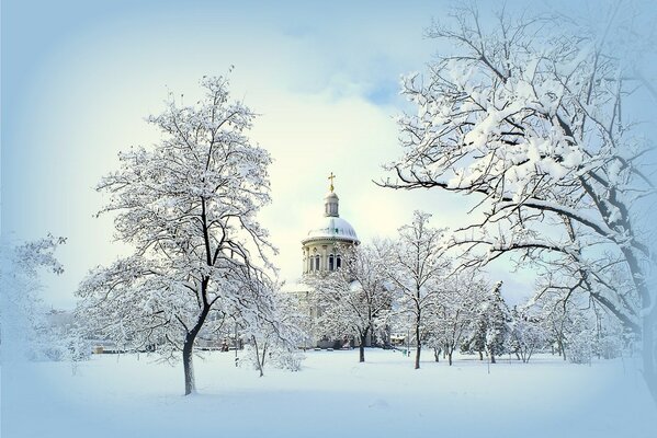 Russian winter: a cracking frost has bound everything around