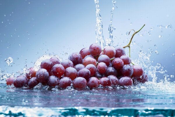 Uvas jugosas en agua clara