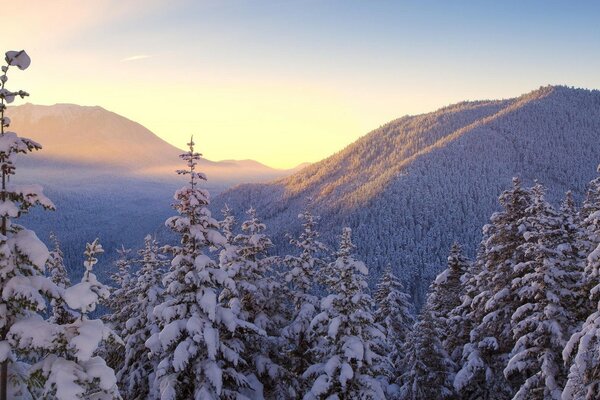 Nieve de invierno en las montañas