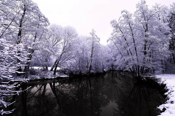 Bella natura invernale vicino al torrente