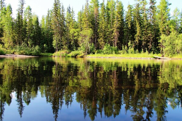 Fishing and recreation on the forest lake