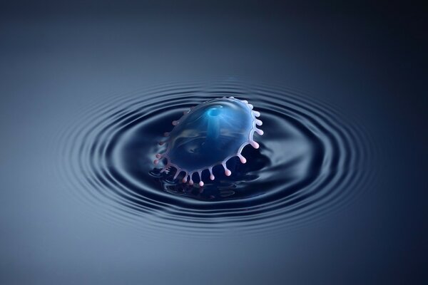 Abstraction of a drop of water and its reflection