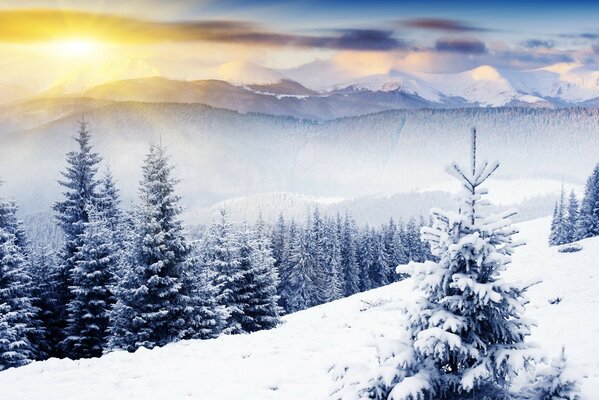 Eine Landschaft, die den kalten weißen Winter zeigt