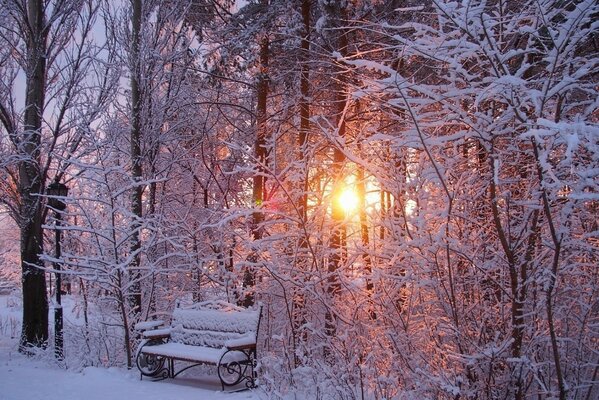 Ordering on a winter evening after a snowfall