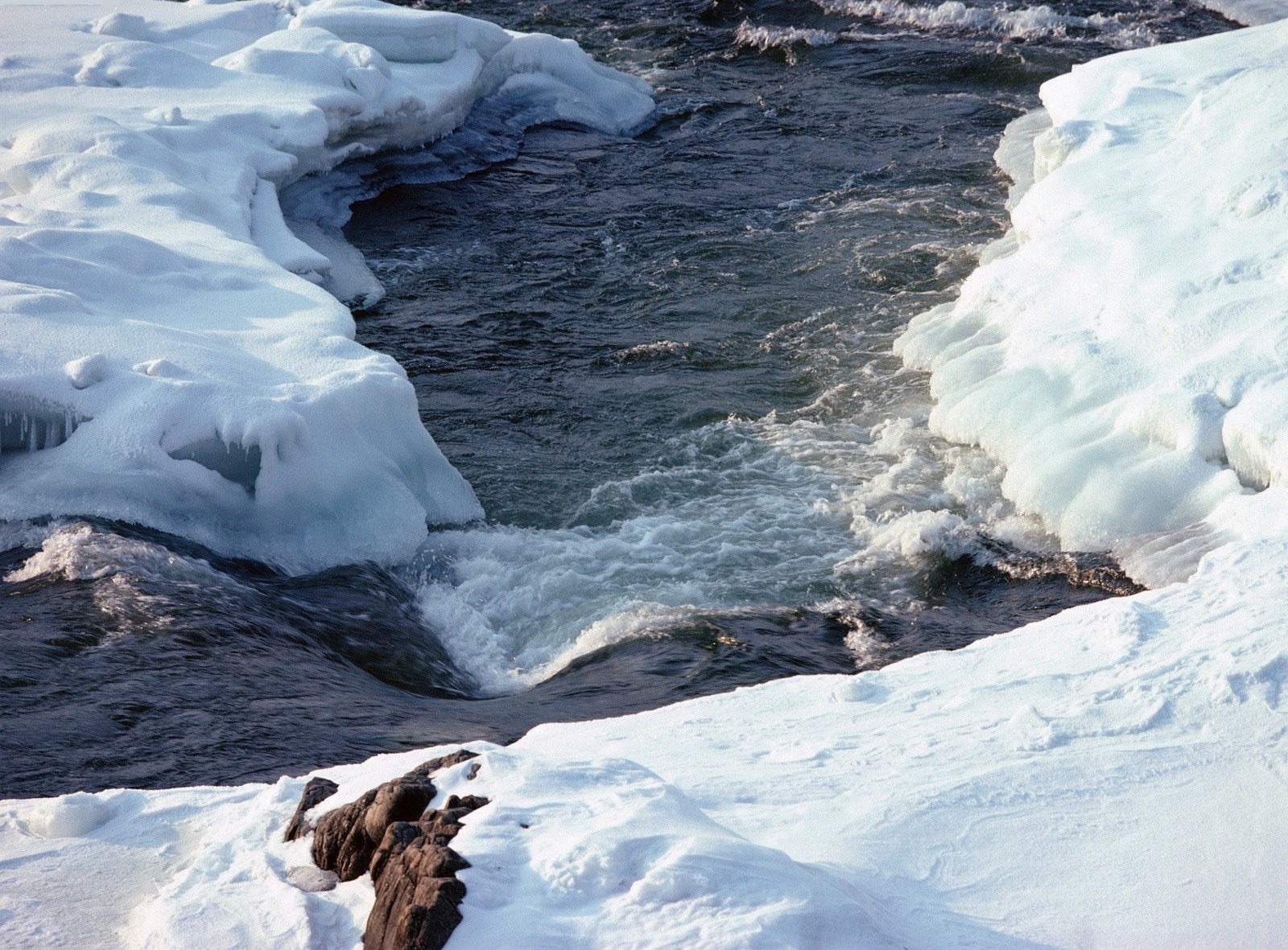 rios lagoas e córregos lagoas e córregos gelo iceberg neve água gelado inverno frio derretimento geleira mudança climática oceano congelado ao ar livre viajar geada natureza mar natação paisagem