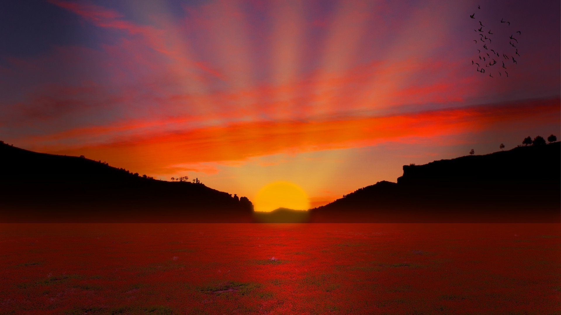 coucher de soleil et aube coucher de soleil aube eau soir crépuscule mer soleil océan plage ciel paysage