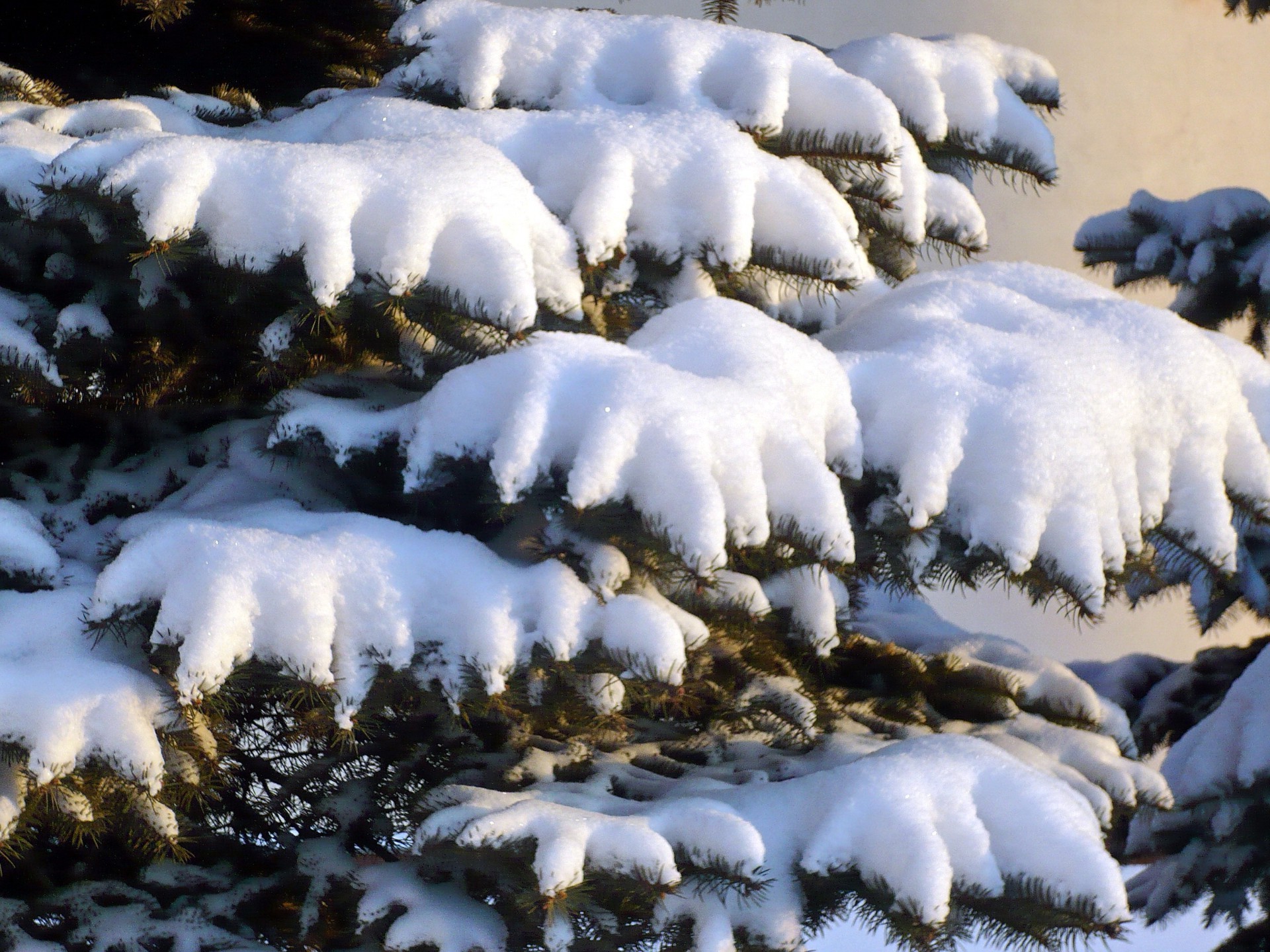 wald winter schnee kalt frost im freien wetter eis gefroren natur tageslicht baum landschaft holz berg saison wasser frostig landschaftlich reisen