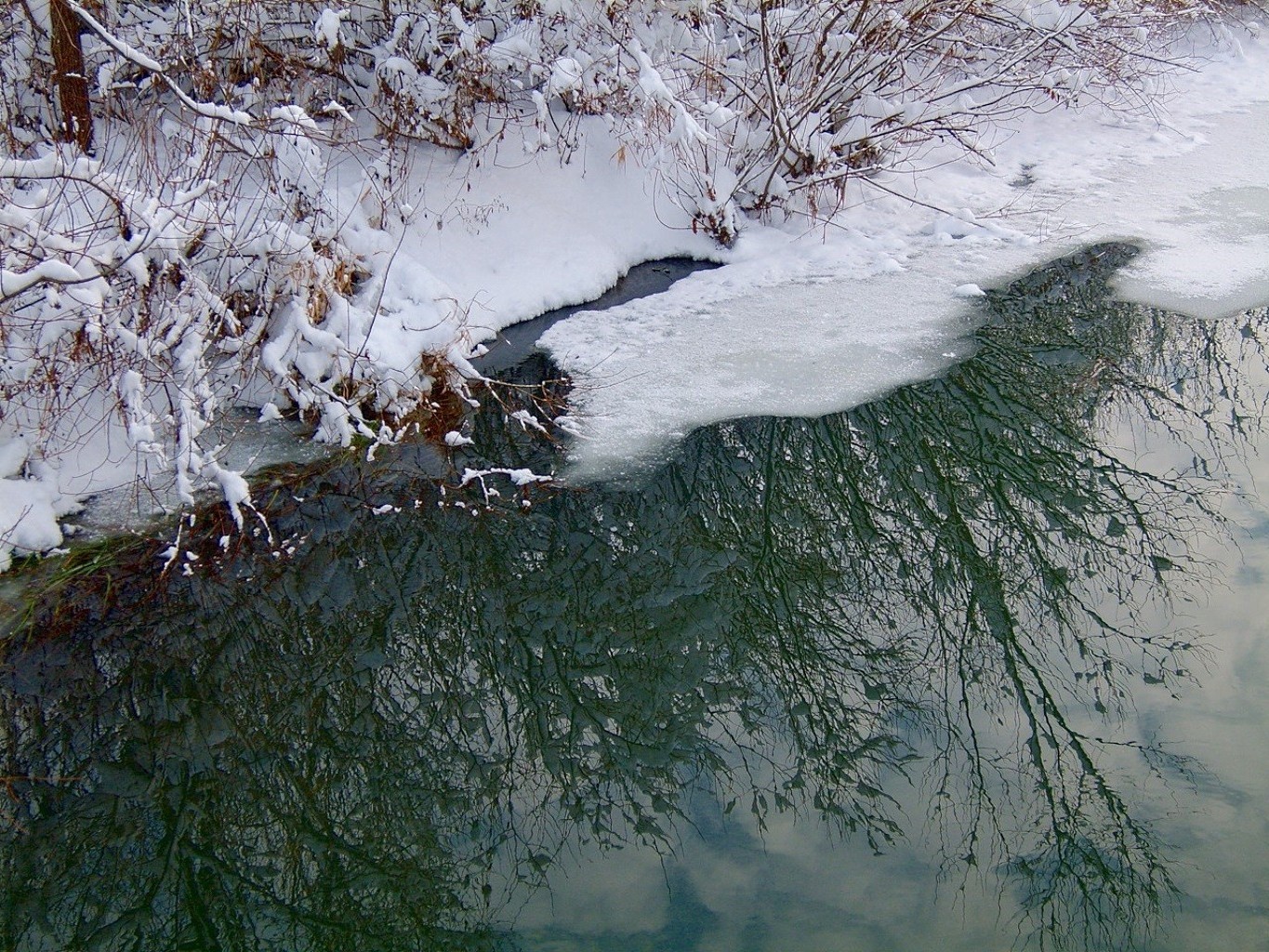 河流 池塘和溪流 池塘和溪流 冬季 雪 水 寒冷 冰 霜 河流 自然 景观 户外 树 冰冻 天气 溪流 瀑布 环境 木材 霜冻 潮湿