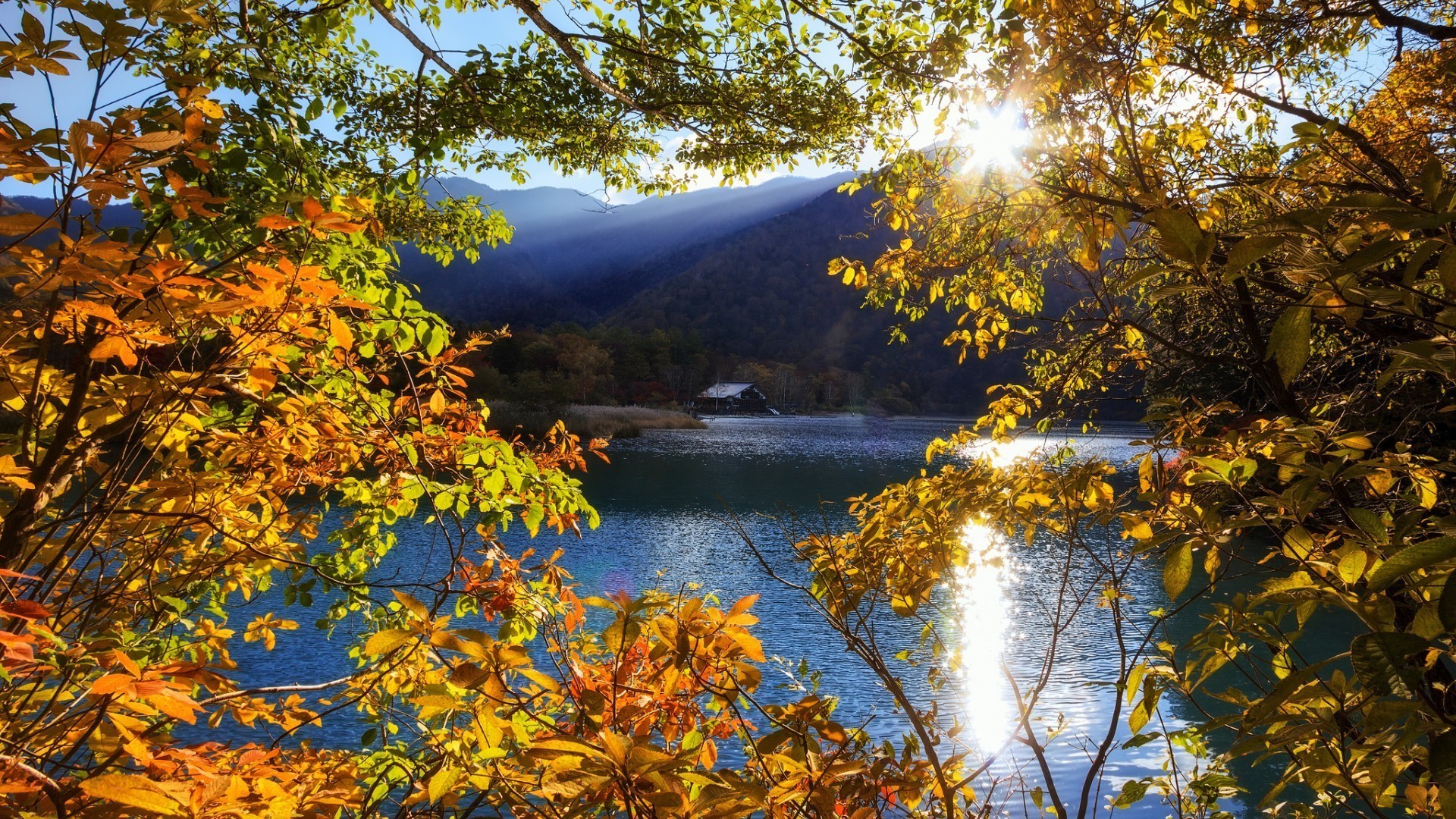 puesta de sol y amanecer otoño hoja árbol madera arce naturaleza paisaje al aire libre temporada escénico parque agua rama paisaje lago buen tiempo oro escena luz del día