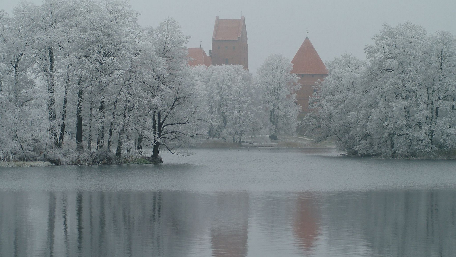 hiver neige froid gel glace bois congelé brouillard paysage bois météo givré aube eau brouillard scénique nature réflexion