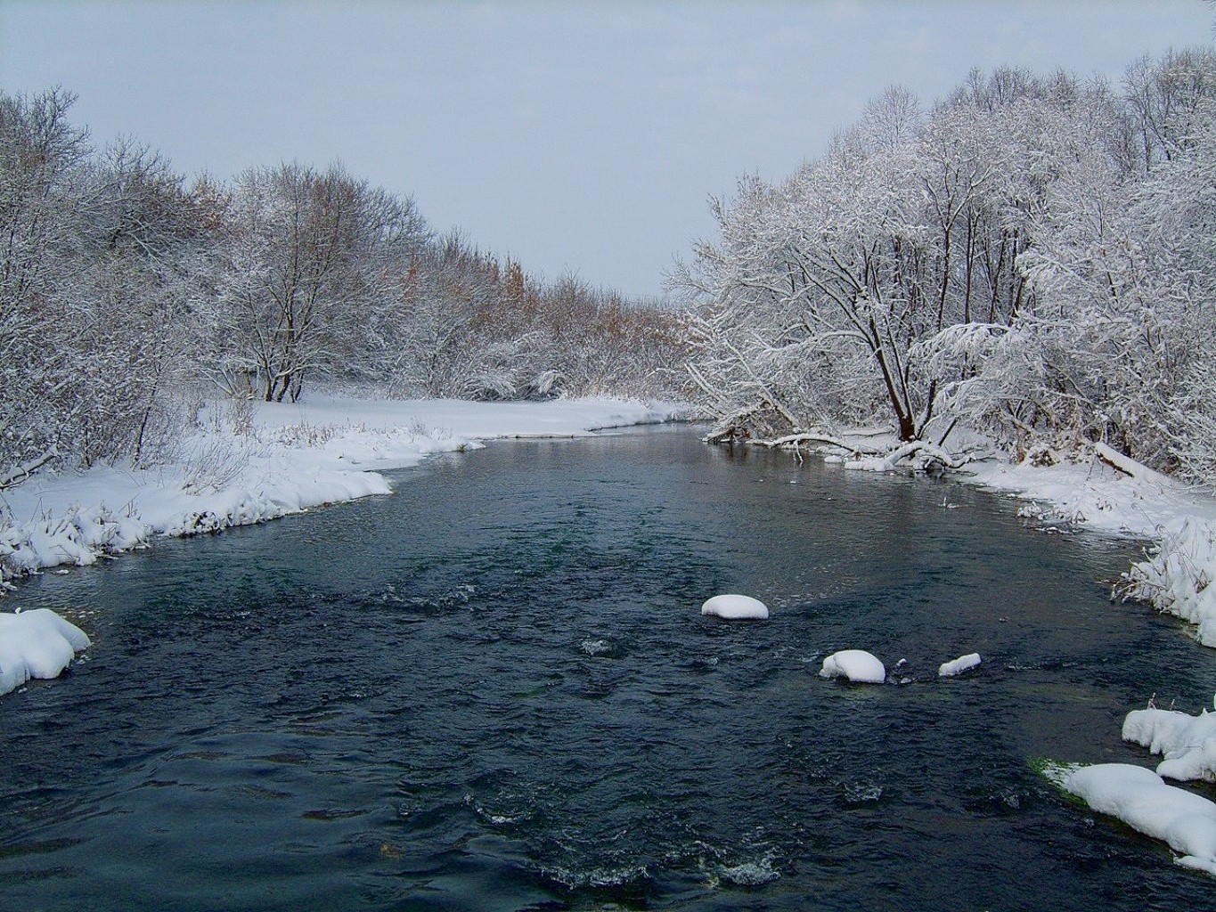 Пойма реки фото