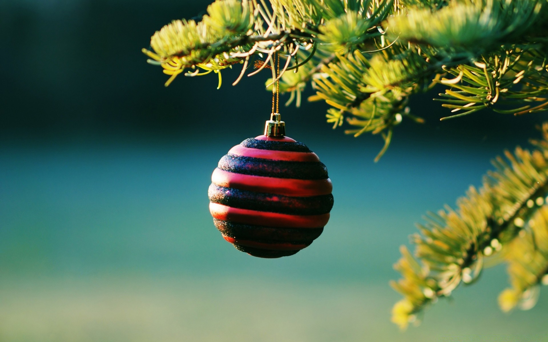 nuovo anno albero appeso natale inverno ramo decorazione palla oro natura evergreen luminoso brilla pino stagione di festa