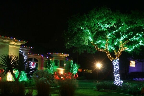 The evening magic of Christmas in the city