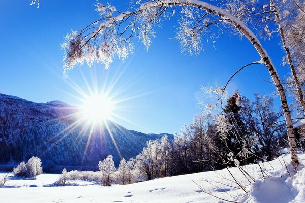 Sole che sorge da dietro le montagne in inverno