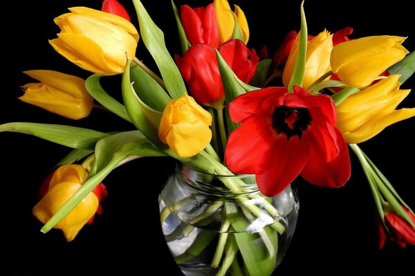 Bouquet of yellow and red tulips