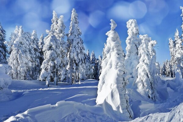 Schneeöl und Schneeverwehungen. Landschaften