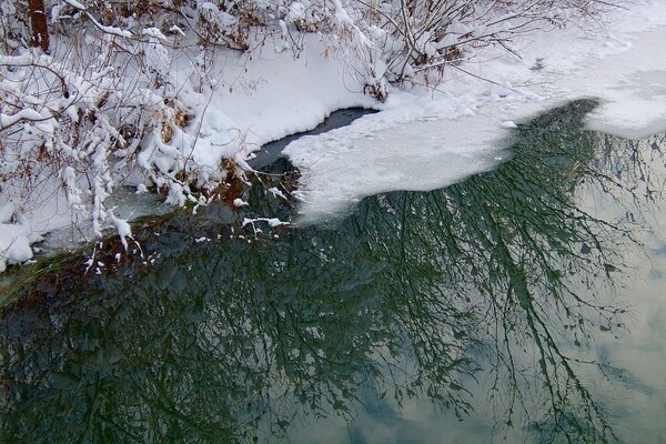 Ruscello invernale nella neve