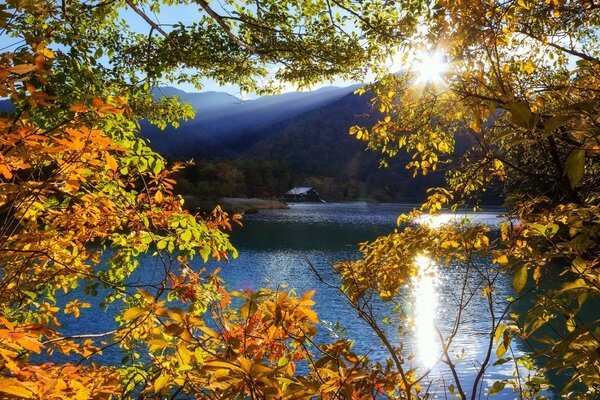 Herbstdämmerung am Fluss. Wasser und Blätter sind rot