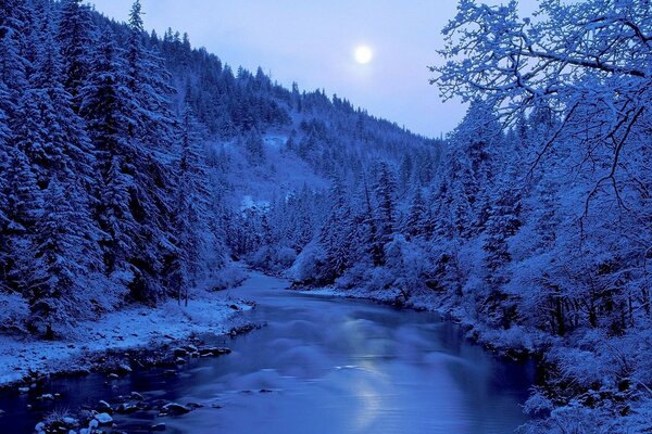 Paesaggio invernale, foresta innevata e fiume