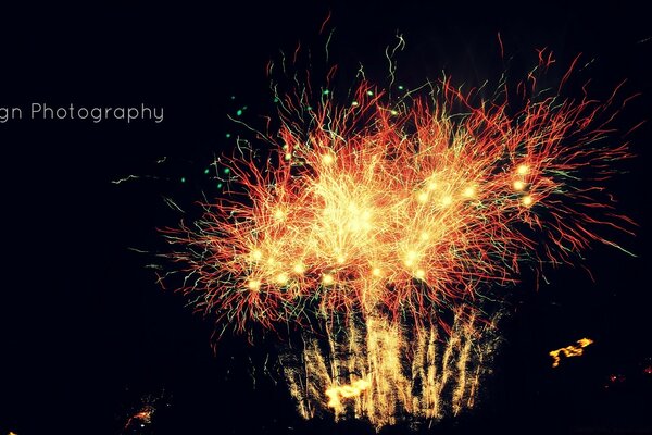 Exploding fireworks on a black background