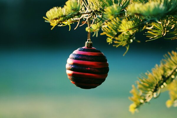 El juguete del árbol de Navidad cuelga en la rama del árbol de Navidad