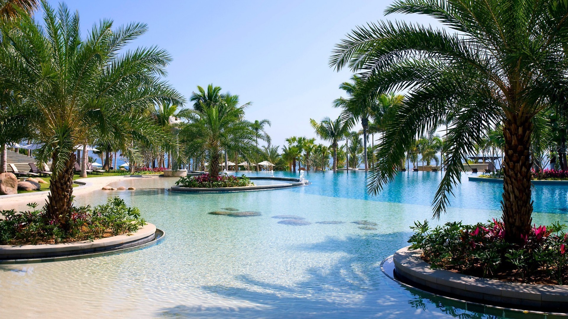 pools palm hotel luxury resort tropical vacation travel paradise pool beach tree water summer island swimming pool relaxation swimming exotic chair