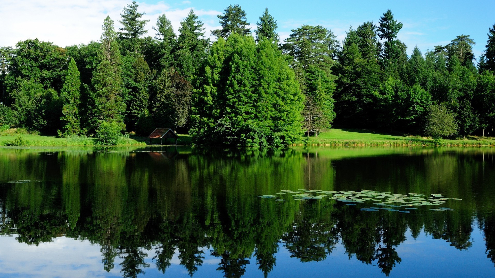 lake water nature reflection summer outdoors river pool wood tree landscape grass park scenic sky composure travel