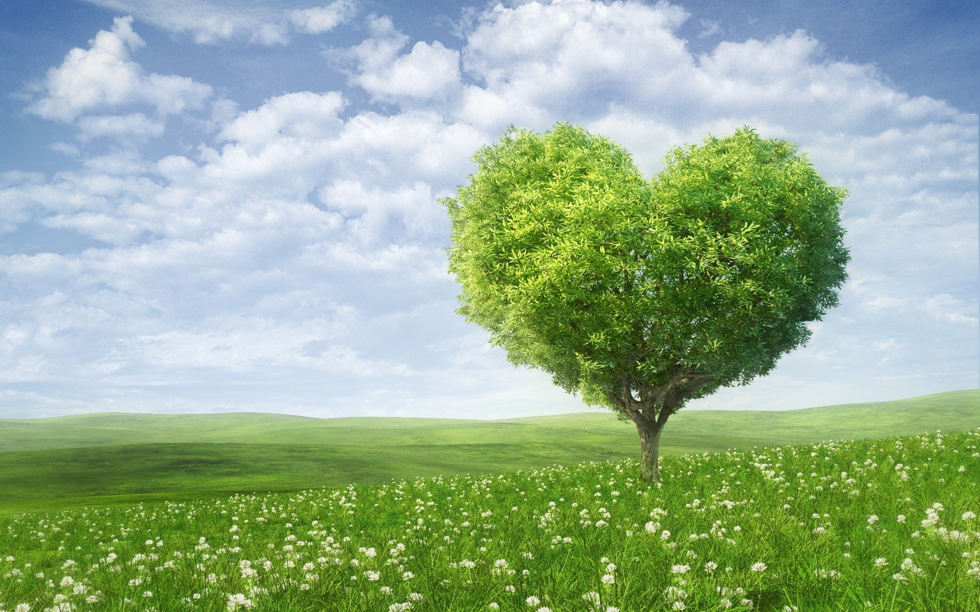 valentine s day landscape rural grass field countryside hayfield agriculture nature growth horizon idyllic cloud sky pasture summer outdoors tree flora soil