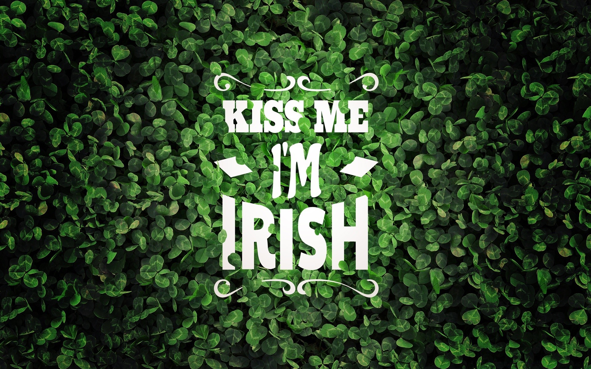 st. patrick s day blatt desktop flora natur wachstum textur abstrakt vorlage