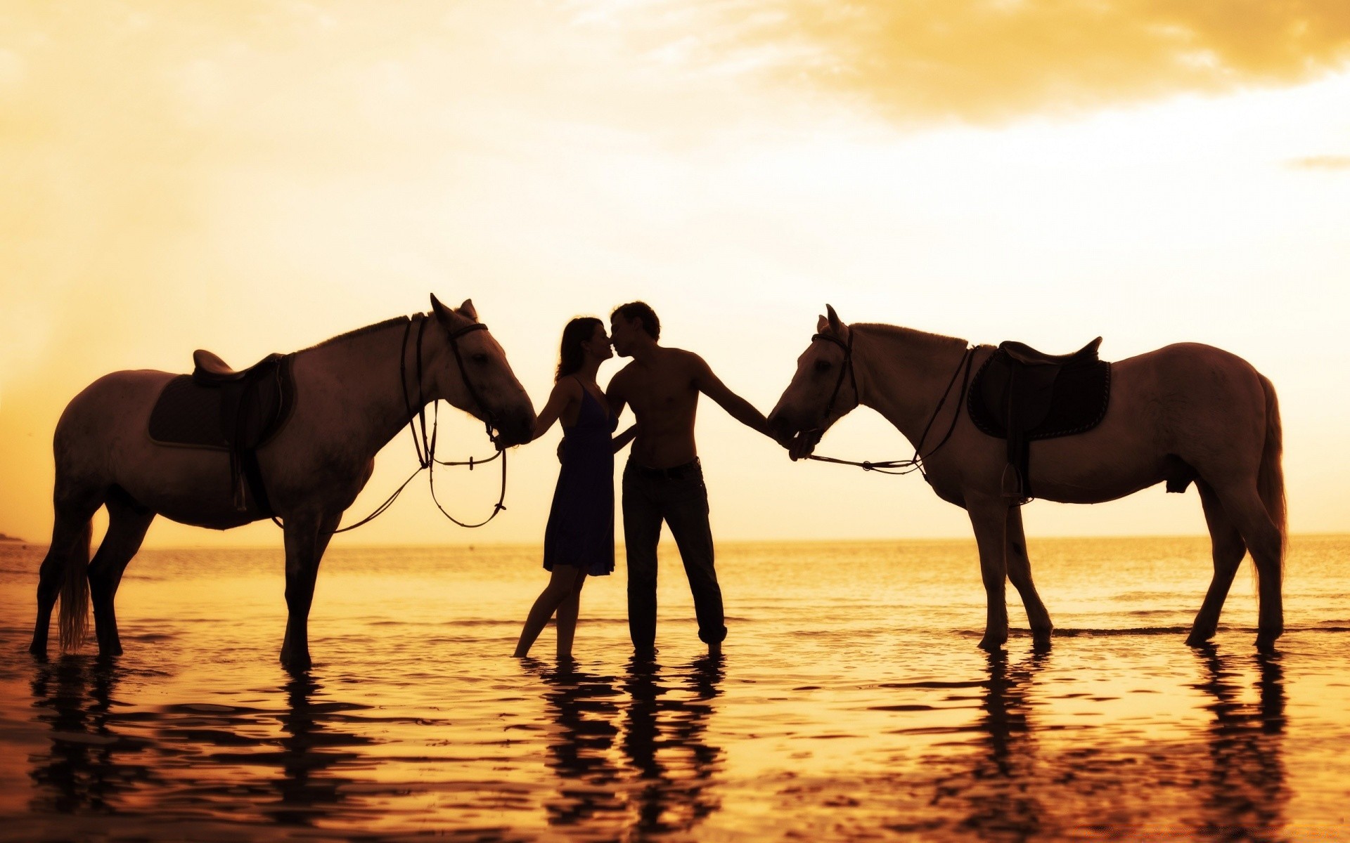 valentinstag pferd kavallerie mare säugetier reiter pferdezucht sonnenuntergang sitzen hengst tier beleuchtet silhouette rennpferd sonne mustang läufer pony