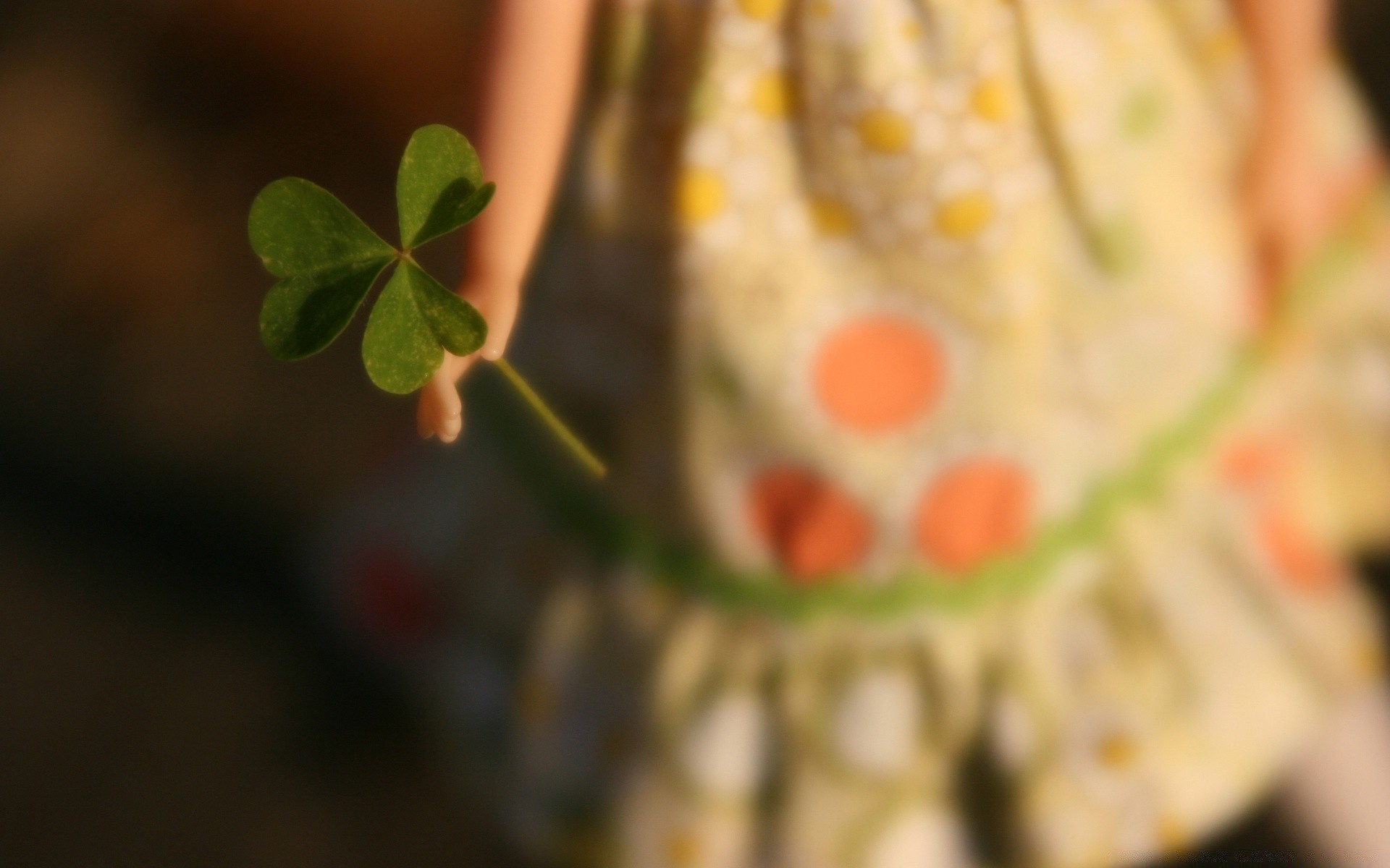 jour de st patrick alimentaire bureau gros plan feuille légume couleur en bonne santé fruits