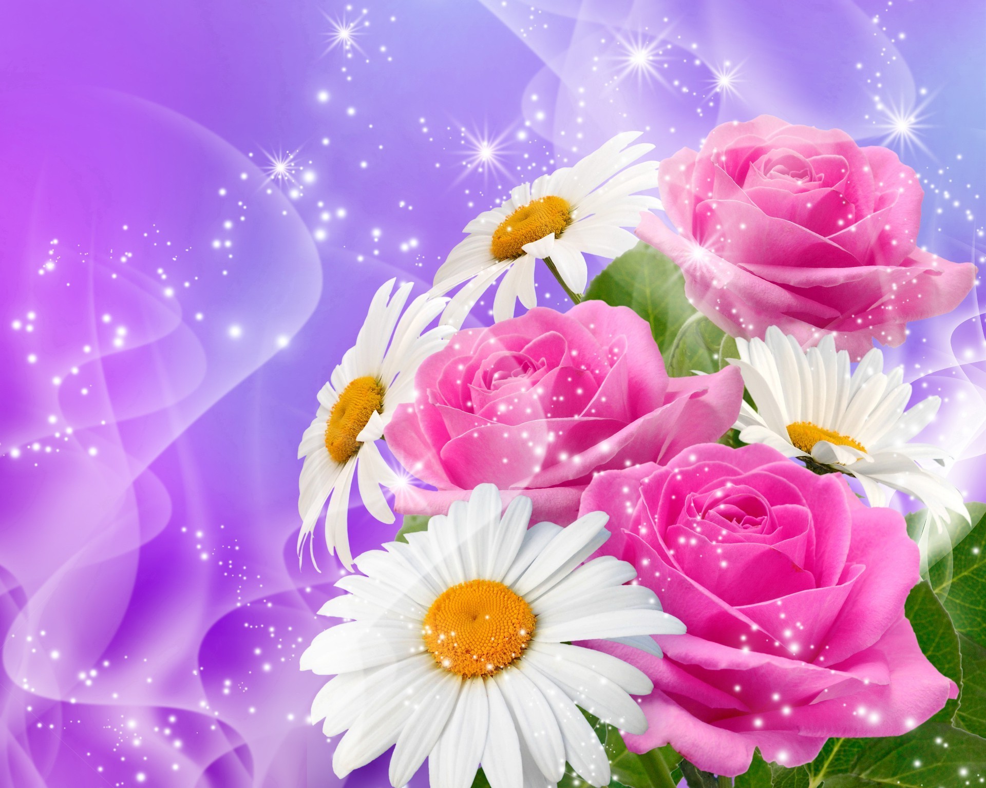 цветы букет ромашки розовые бесплатно