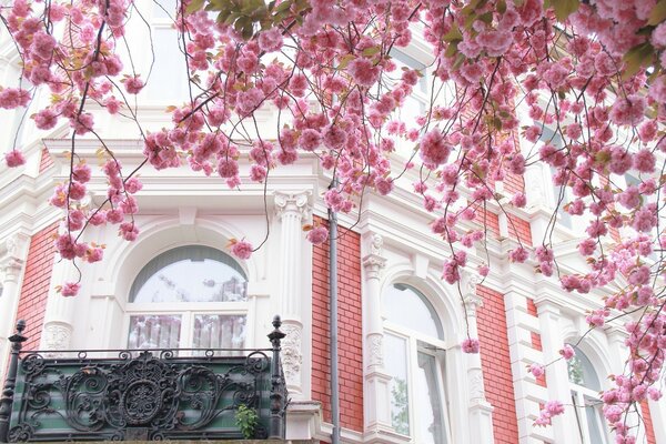 Arquitectura urbana decorada con flores