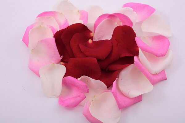 Wedding. heart shape of rose petals